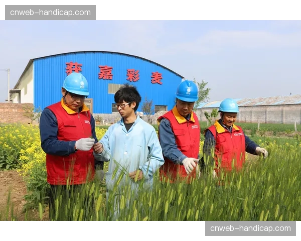 深度报道：新兴市场崛起，海湾国家资本持续注入欧洲手球青训体系